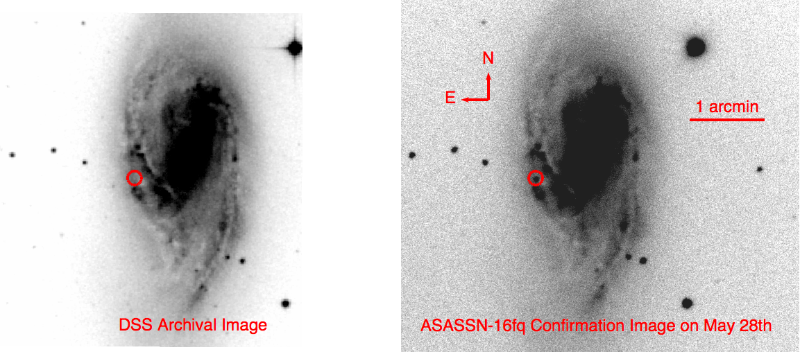 Vitesse radiale de la galaxie M66 depuis le Pic du Midi Asassn-16fq
