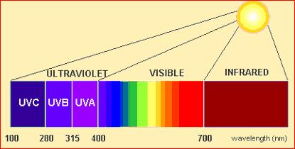 Rainbow!