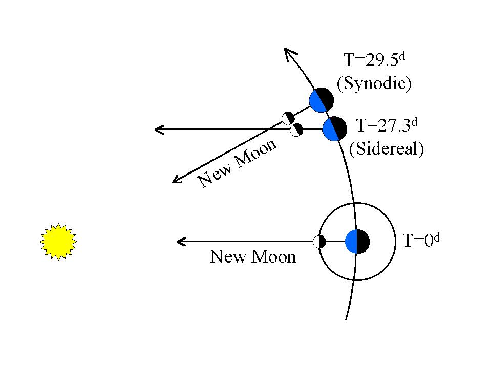 Lunar vs. Synodic