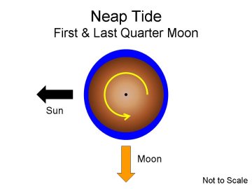 Neap Tide