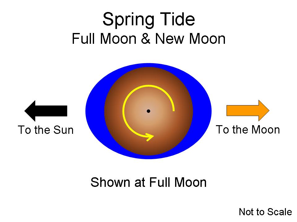 What is a spring tide?