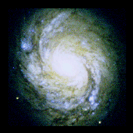 NGC 1068 (CFHT)
