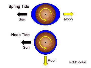 Spring and Neap Tides