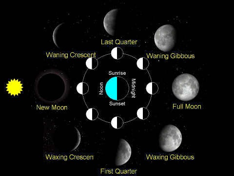 Moon Phases