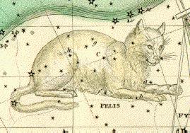 Felis the Cat, Jamieson Atlas 1820