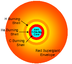 Interior of a massive star
     at the end of the Carbon-Burning Phase
