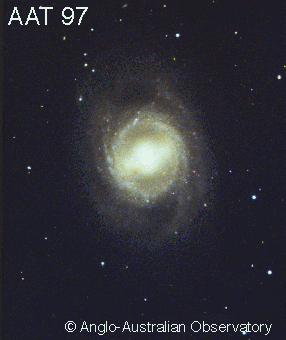 NGC 3351