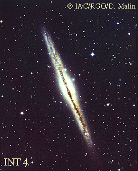 NGC 891