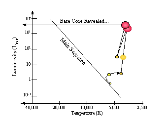 Final Stages: Envelope Ejection to White Dwarf