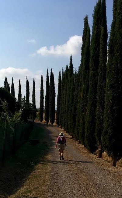 Val d'Orcia - 2017 June